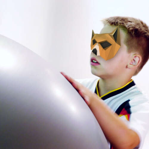 Foxball game indoor playground children